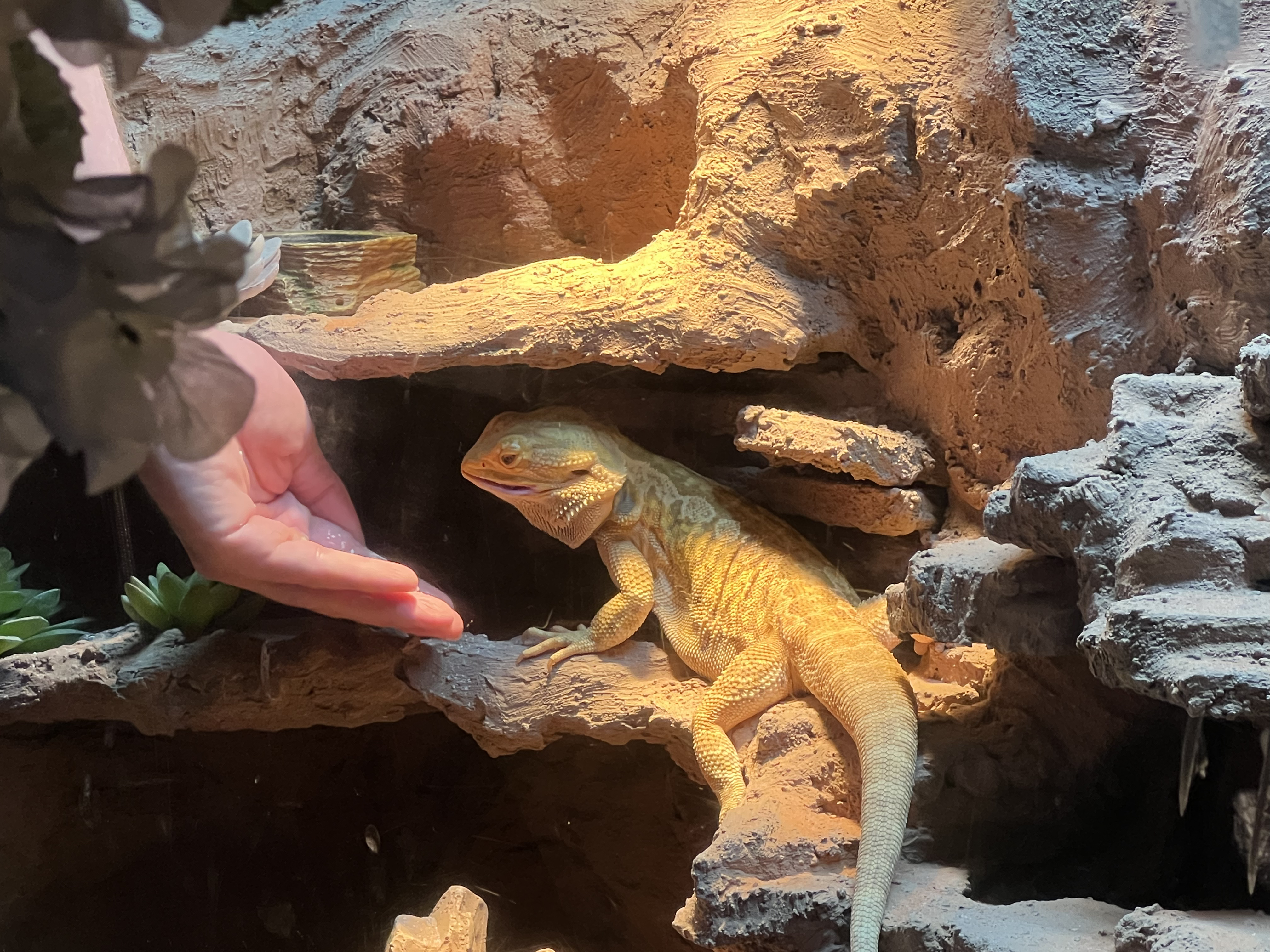 ./2024/10 - Myrtle Beach/IMG_3153.jpg